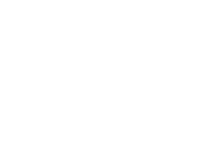 Schar School of Policy and Government logo